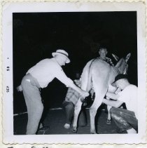 Fred Gallie and Three Unidentified Men with a Donkey